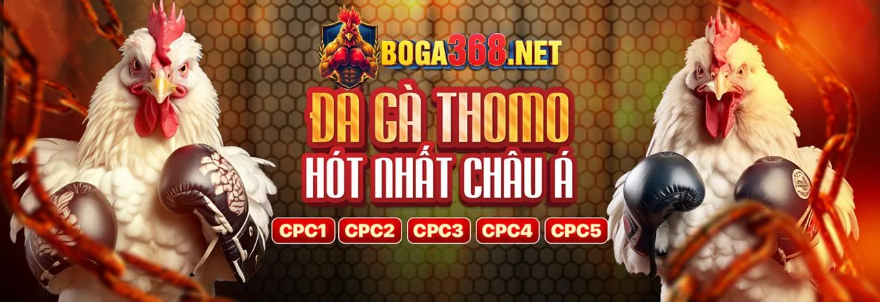 JBO kèo thể thao và lịch trận